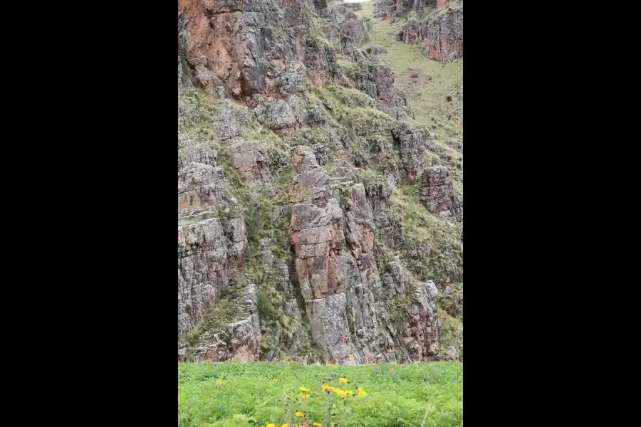 Imagen Bosque De Piedra De Qilca - Imagen 1