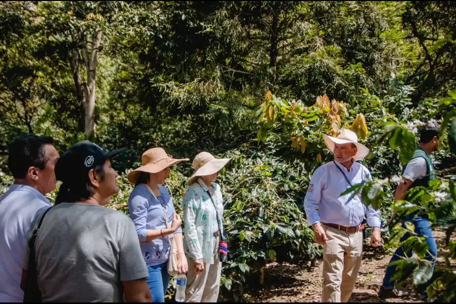 Imagen Finca Parcela Los Pinos - Imagen 10