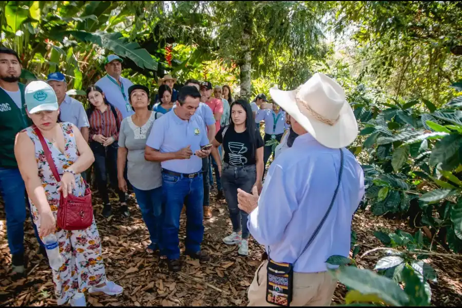 Imagen Finca Parcela Los Pinos - Imagen 9