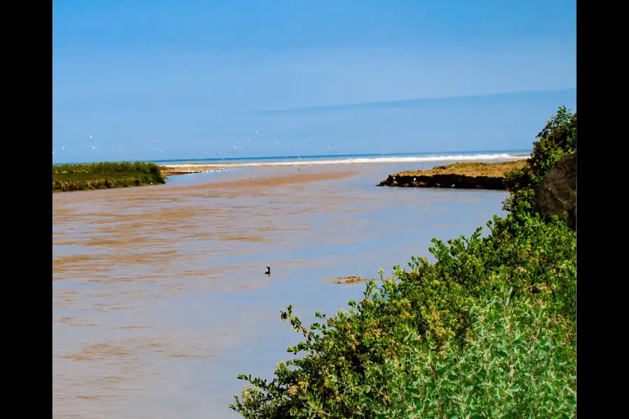 Imagen Desembocadura Del Río Tambo - Santuario Nacional Lagunas De Mejía - Imagen 1