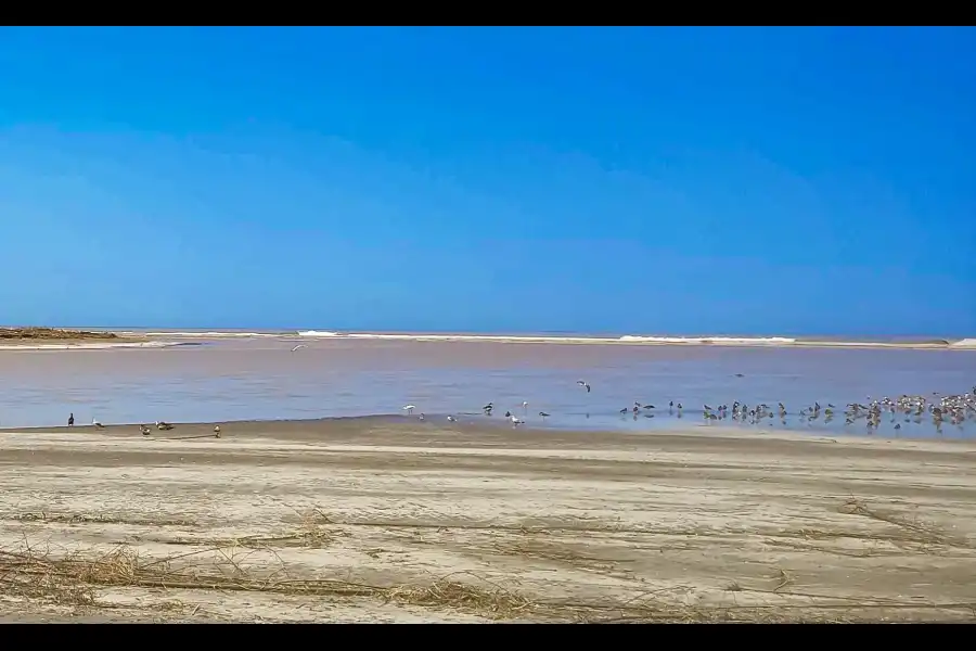 Imagen Desembocadura Del Río Tambo - Santuario Nacional Lagunas De Mejía - Imagen 3