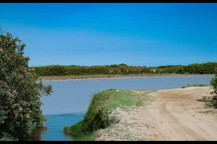 Imagen Desembocadura Del Río Tambo - Santuario Nacional Lagunas De Mejía - Imagen 4