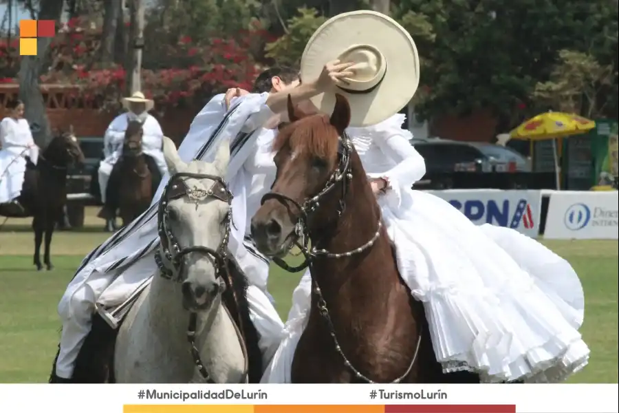 Imagen Concurso Nacional Oficial Del Caballo Peruano De Paso - Imagen 6