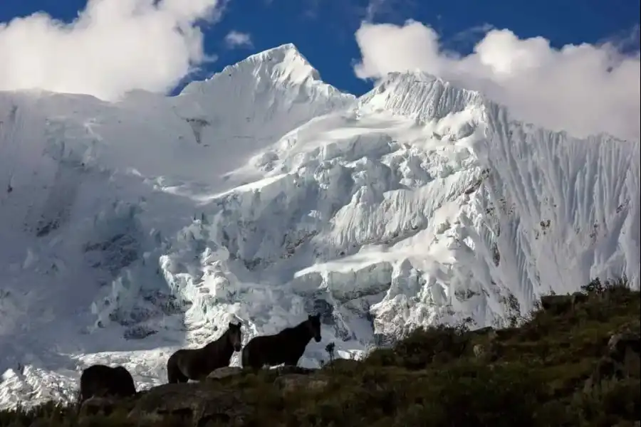 Imagen Nevado Palcaraju - Imagen 6