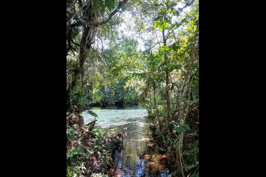 Imagen Río Aguas Claras - Imagen 3