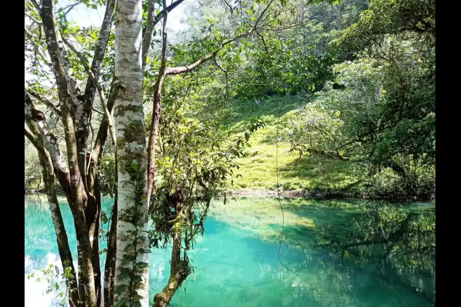 Imagen Río Aguas Claras - Imagen 6