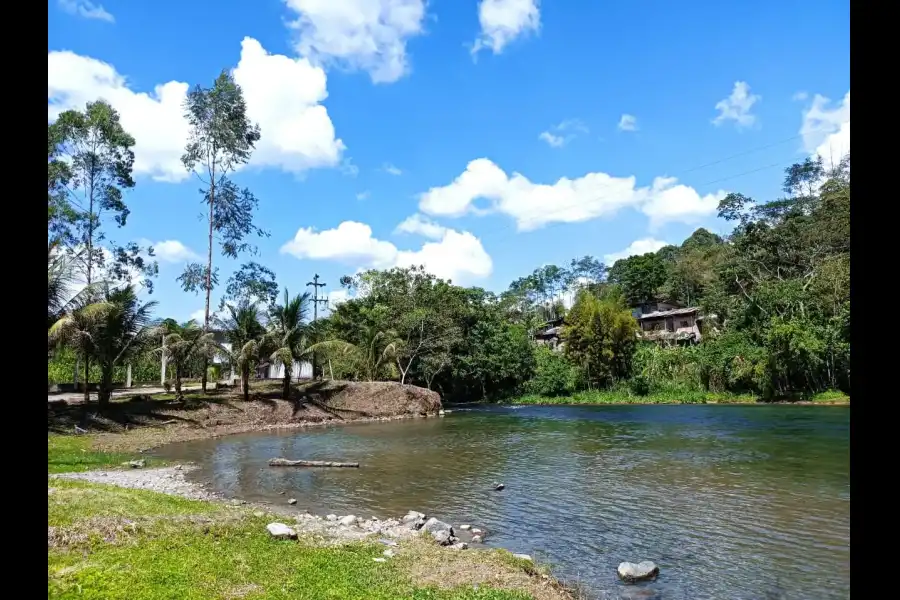 Imagen Río Aguas Claras - Imagen 7