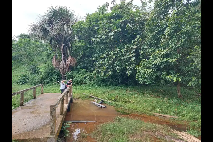 Imagen Centro Poblado Barranca - Datem Del Marañon - Imagen 4