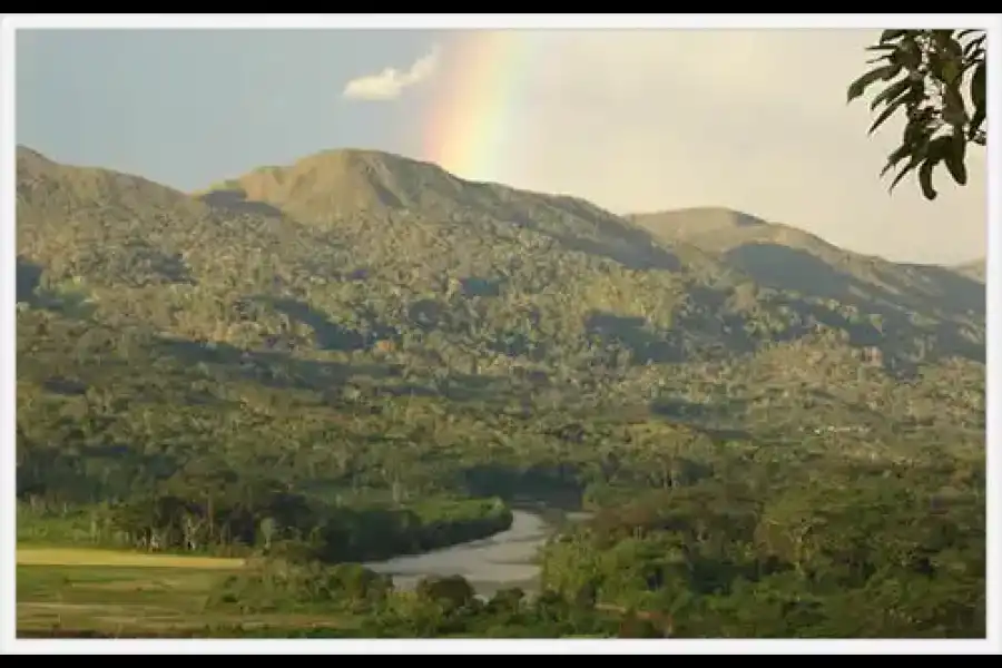 Imagen Bosque De Protección Alto Mayo - Imagen 1