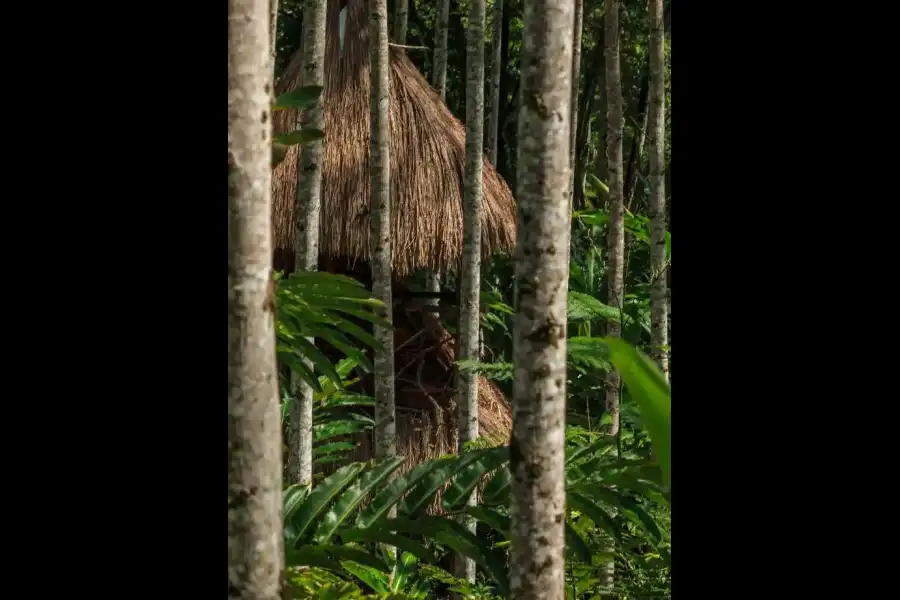 Imagen Jardín Etnobotánico Semilla Bendita - Imagen 10