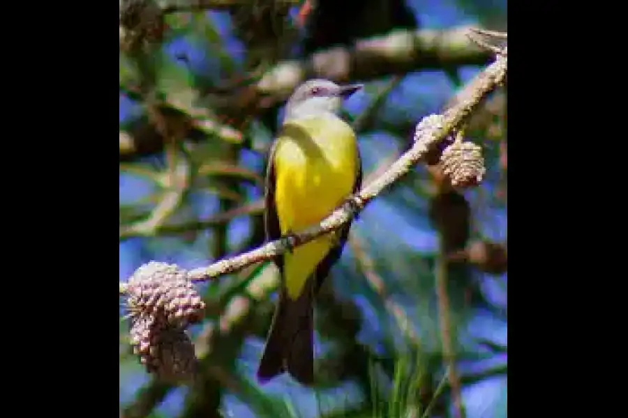 Imagen Jardín Etnobotánico Semilla Bendita - Imagen 4