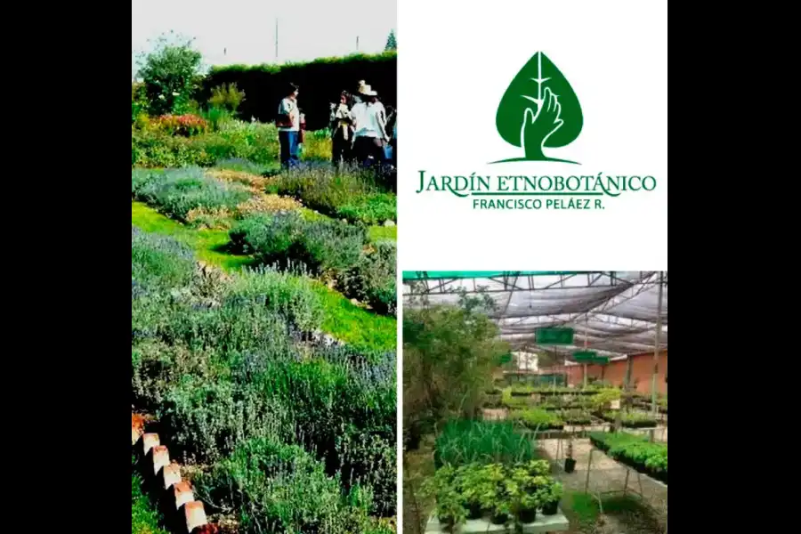 Imagen Jardín Etnobotánico Semilla Bendita - Imagen 6