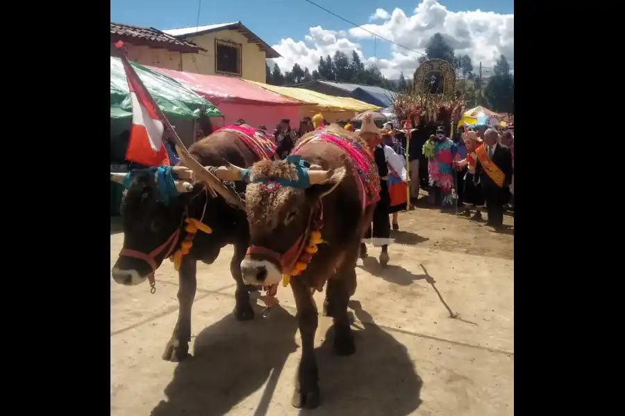 Imagen Danza Costumbrista Los Chacareros De Vicso - Imagen 11