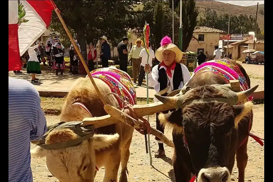 Imagen Danza Costumbrista Los Chacareros De Vicso - Imagen 3