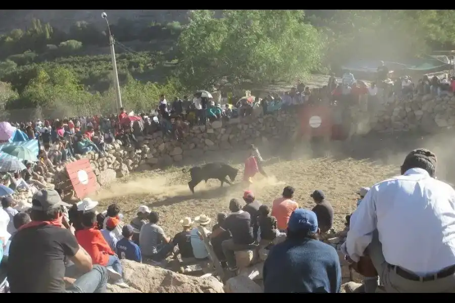 Imagen Festividad De San Andrés En Chuñuño - Imagen 5