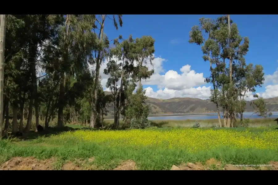 Imagen Laguna De Pacucha - Imagen 6