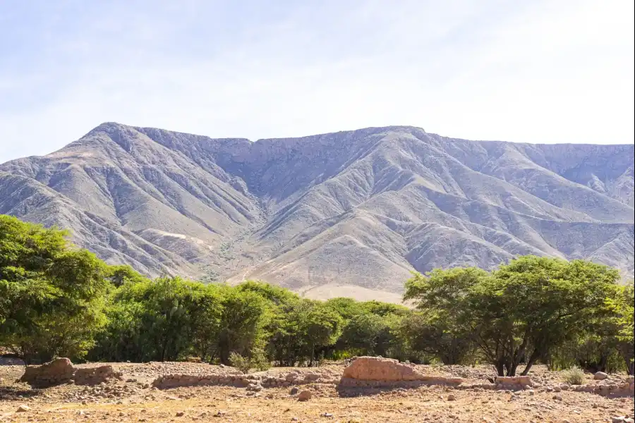 Imagen Cerro El Amargoso - Imagen 1