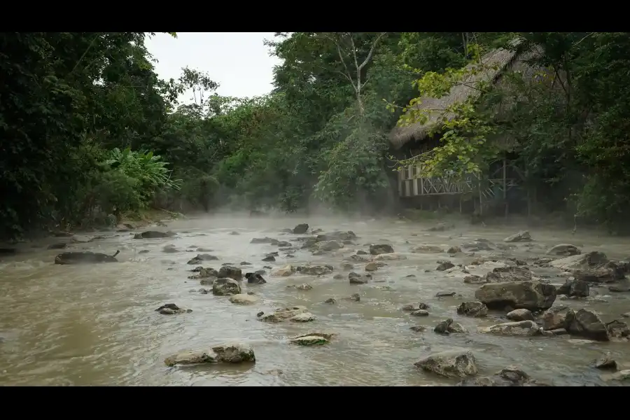 Imagen Bosque Santuario Huishtín - Imagen 12