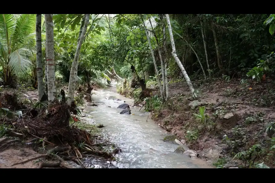 Imagen Bosque Santuario Huishtín - Imagen 14