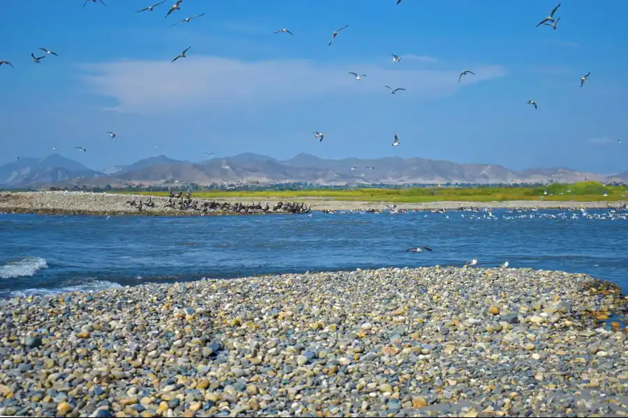 Imagen Desembocadura Del Río Santa - Imagen 1