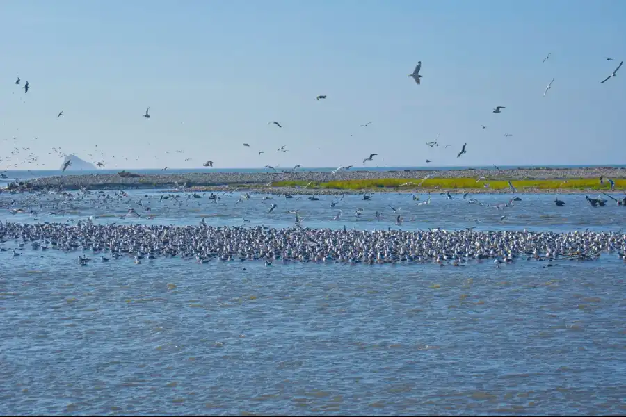 Imagen Desembocadura Del Río Santa - Imagen 3