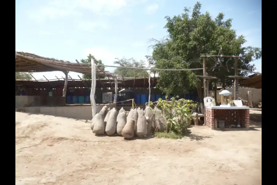 Imagen Bodega Artesanal Vitivinicola San Inocente - Imagen 1