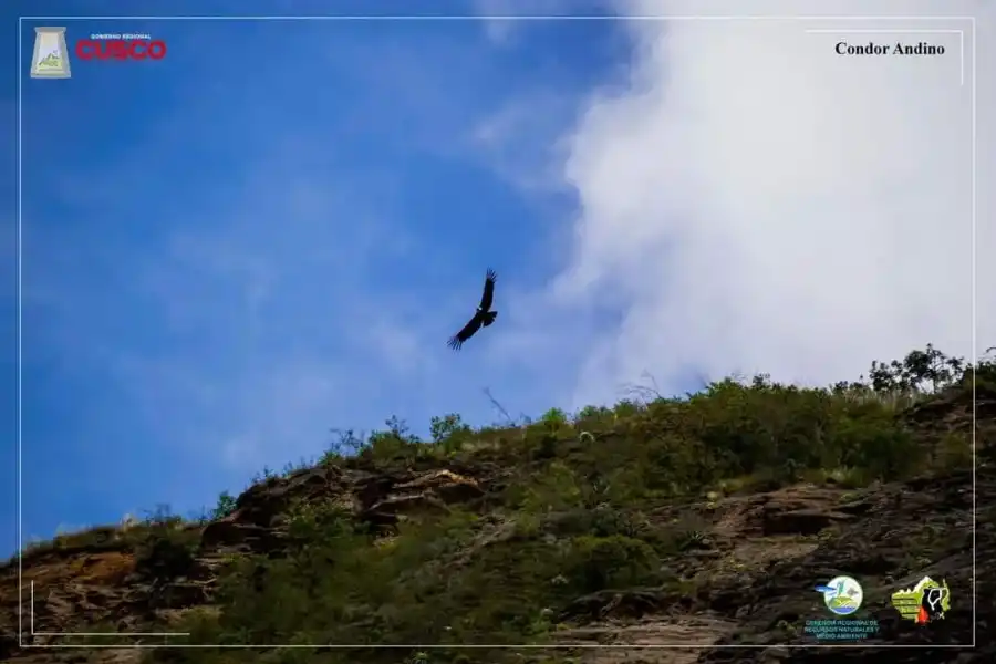 Imagen Área De Conservación Regional Choquequirao - Sector Mollepata - Imagen 5