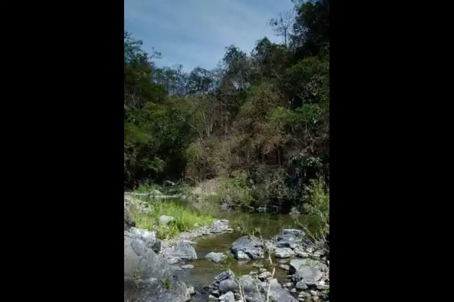 Imagen Parque Nacional Cerros De Amotape - Sector Quebrada La Angostura - Imagen 1