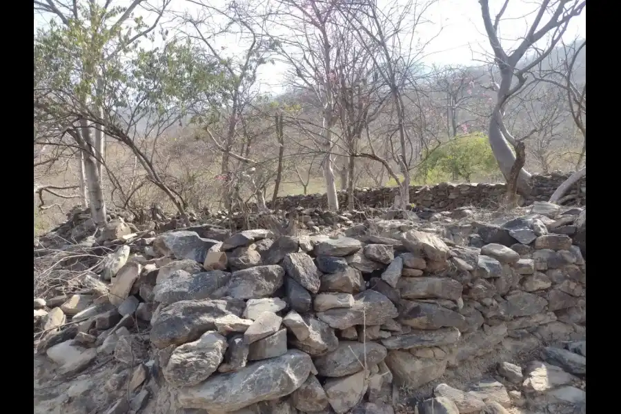 Imagen Área De Conservación Regional Bosques Secos Salitral-Huarmaca-Bloque Norte - Imagen 1