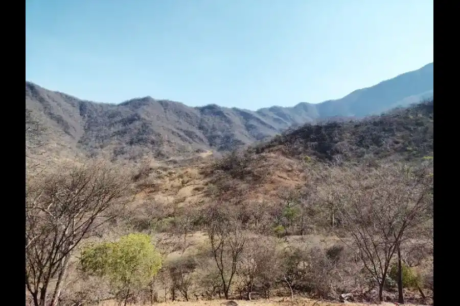 Imagen Área De Conservación Regional Bosques Secos Salitral-Huarmaca-Bloque Norte - Imagen 5