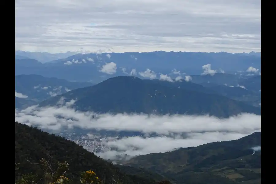 Imagen Parque Nacional Yanachaga Chemillén - Zona San Alberto - Imagen 1