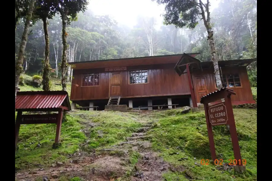 Imagen Parque Nacional Yanachaga Chemillén - Zona San Alberto - Imagen 3