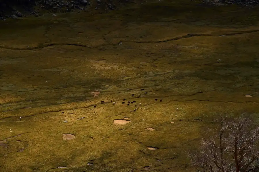 Imagen Quebrada Cashan - Parque Nacional Huascarán - Imagen 3