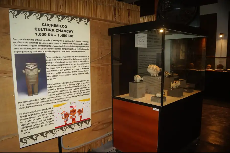 Imagen Museo Arqueológico De Huaral - Imagen 10