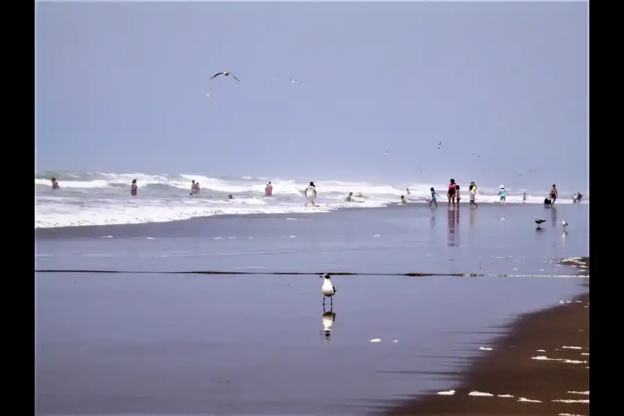 Imagen Playa La Punta De Bombón - Imagen 1