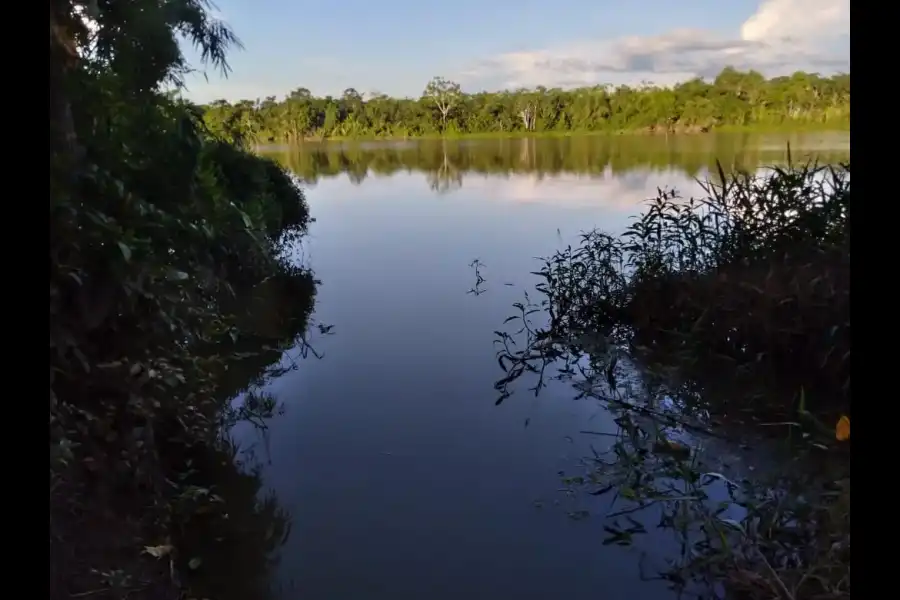 Imagen Laguna De La Comunidad Nativa Santa Clara De Uchunya - Imagen 6