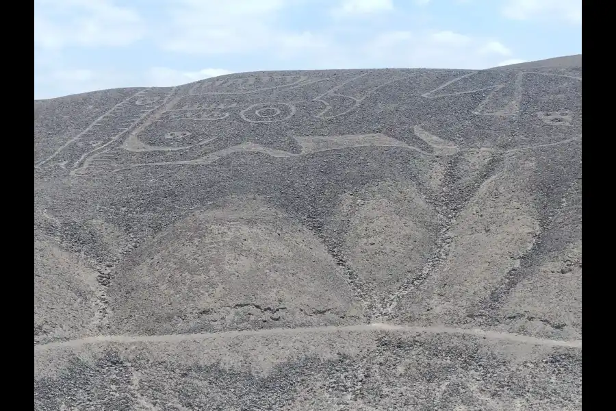 Imagen Líneas Y Geoglifos De Nasca Y Palpa - Imagen 7