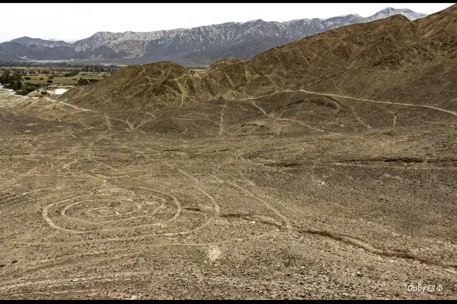 Imagen Líneas Y Geoglifos De Nasca Y Palpa - Imagen 9