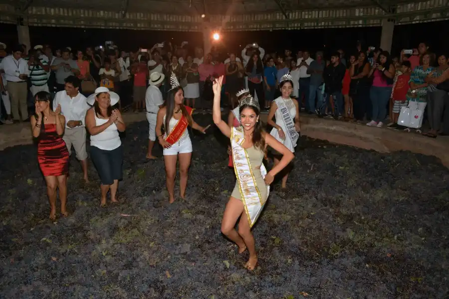 Imagen Festival Internacional De La Vendimia Iqueña - Imagen 6