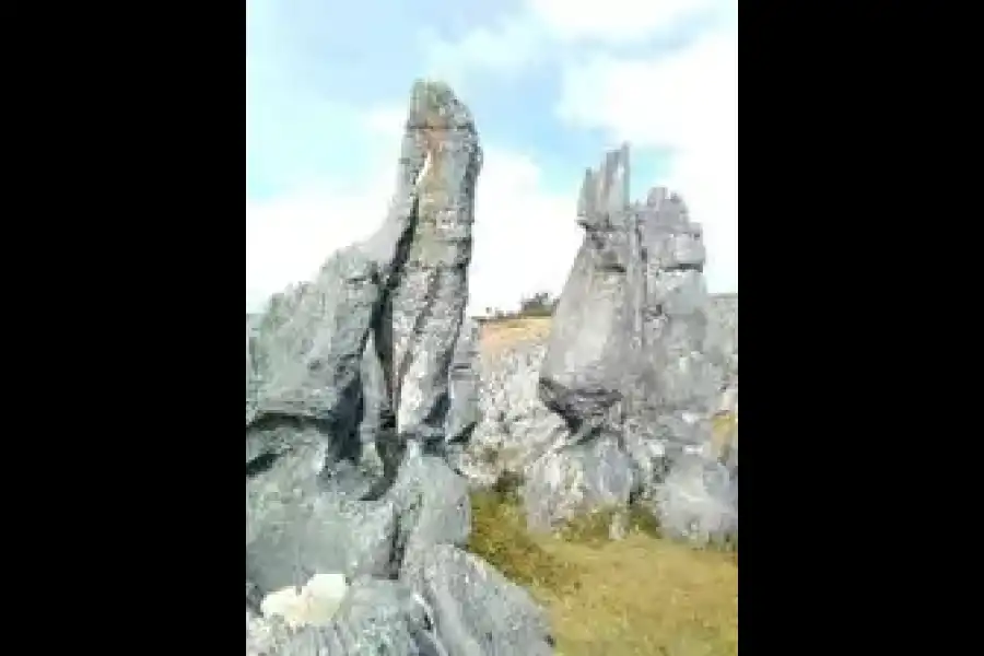 Imagen Bosque De Piedras Auque El Mirador - Imagen 1