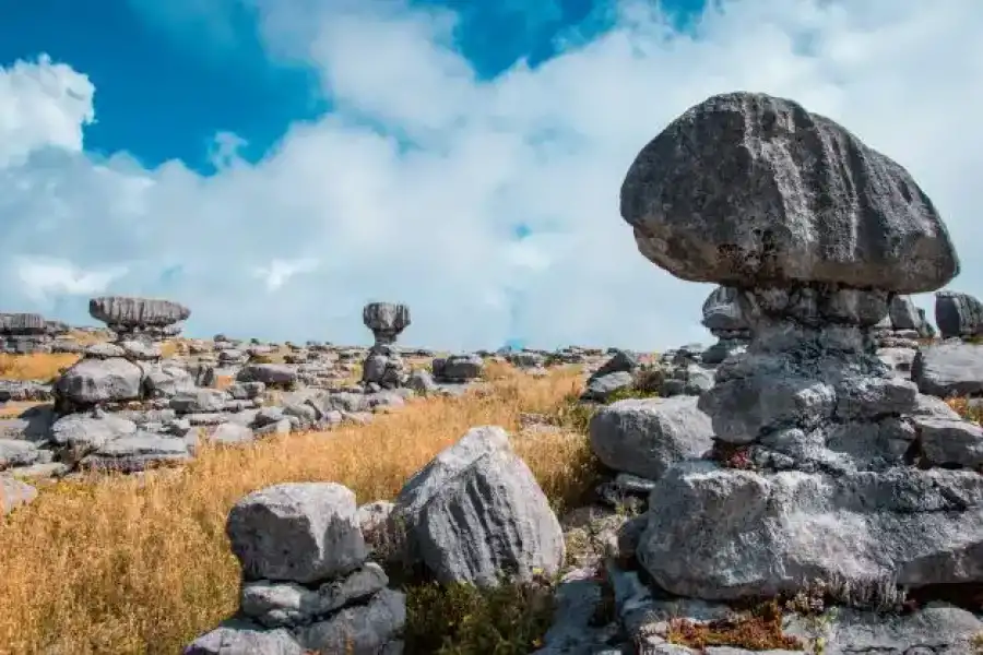 Imagen Bosque De Piedras Auque El Mirador - Imagen 4