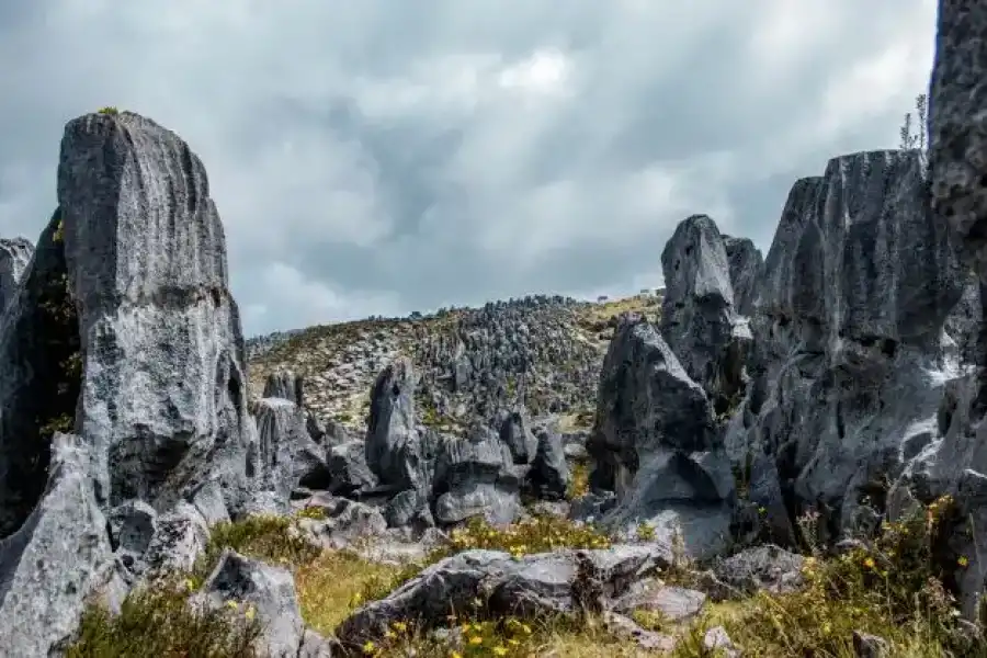 Imagen Bosque De Piedras Auque El Mirador - Imagen 5