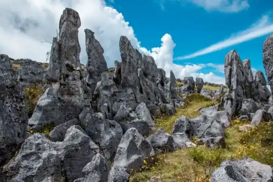 Imagen Bosque De Piedras Auque El Mirador - Imagen 7