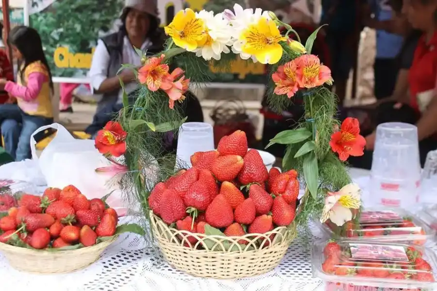 Imagen Comunidad Campesina De Paucarpata - Imagen 10