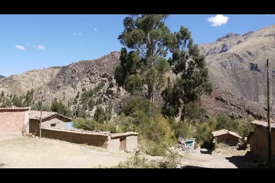 Imagen Comunidad Campesina De Paucarpata - Imagen 7