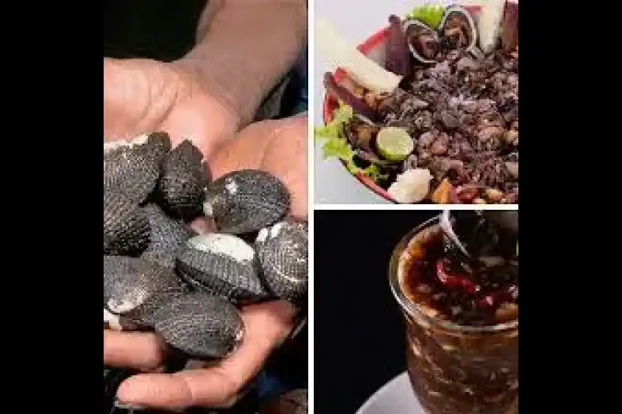 Imagen Ceviche De Conchas Negras - Imagen 5