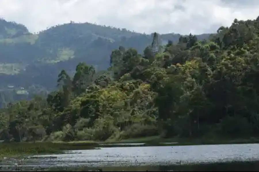 Imagen Área De Conservación Municipal Humedal Laguna El Oconal - Imagen 3