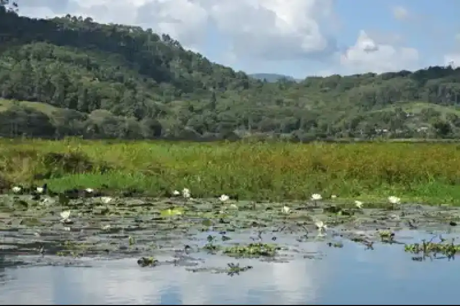 Imagen Área De Conservación Municipal Humedal Laguna El Oconal - Imagen 4