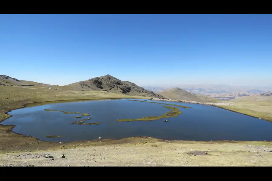 Imagen Laguna Yauriqocha - Imagen 1