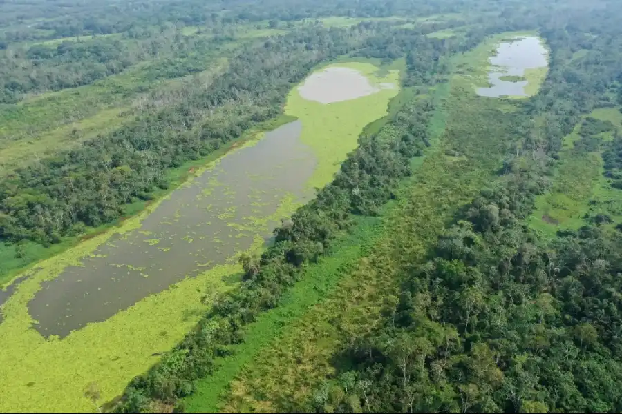 Imagen Área De Conservación Asoconprebiocha - Imagen 12